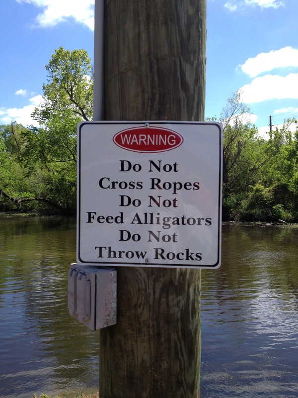 Alligators - Do not cross